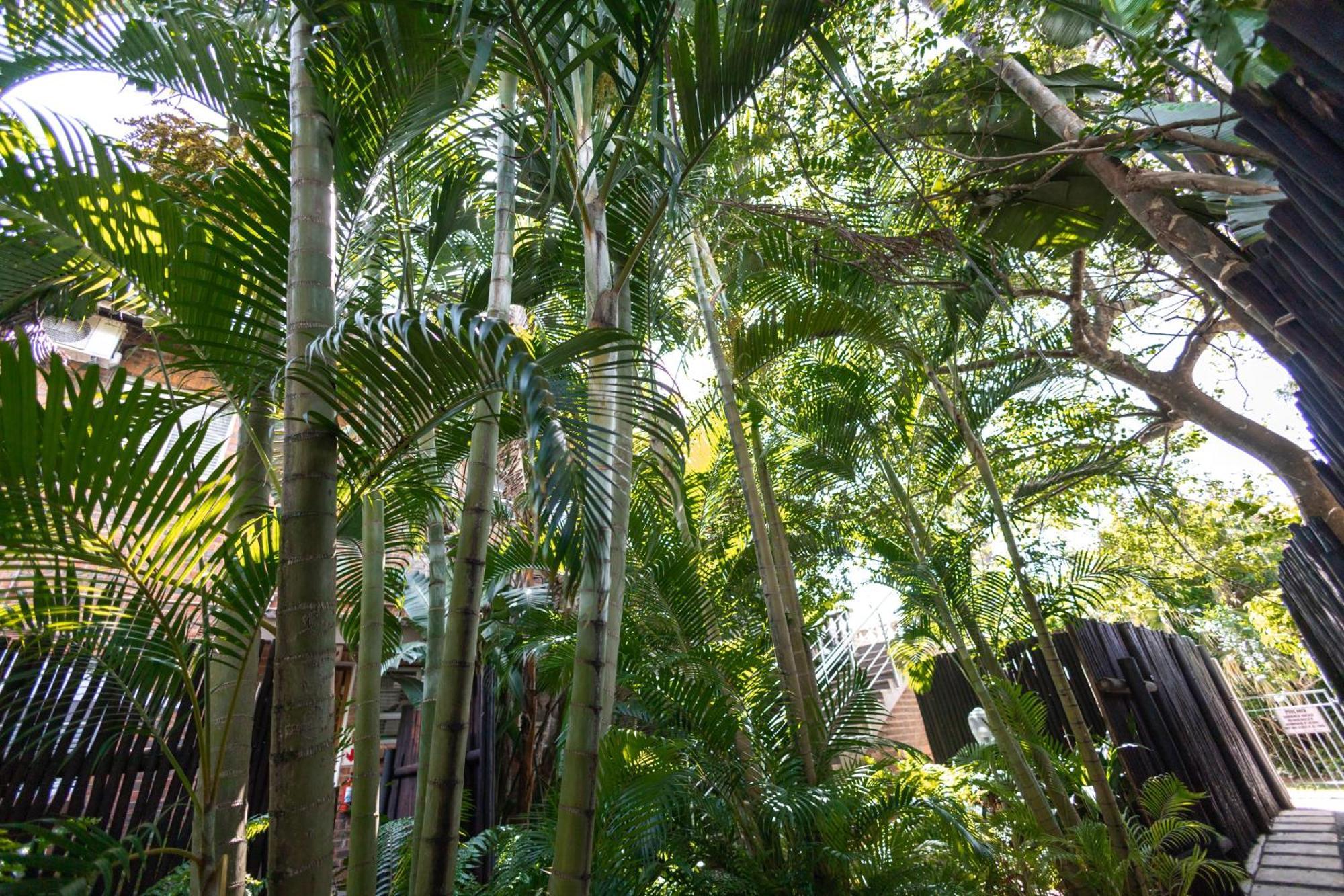 Little Eden St Lucia Lejlighed Eksteriør billede
